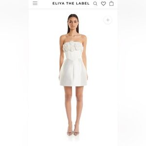 Tehanni Dress